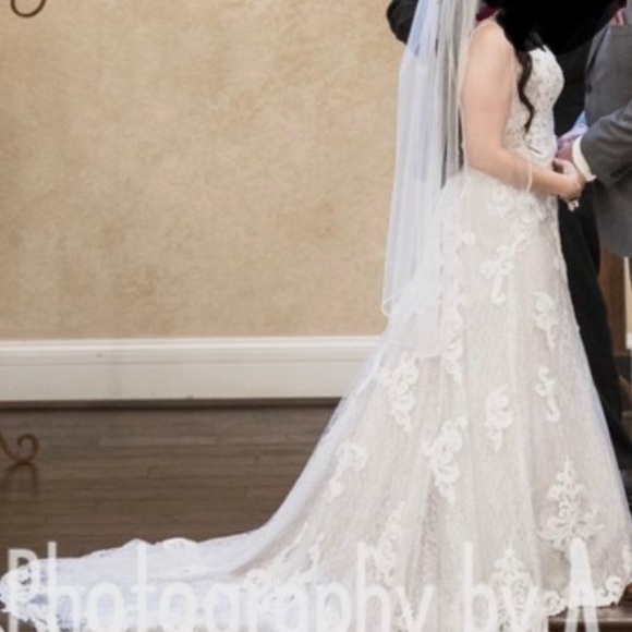 Gorgeous Maggie Soterro Wedding Dress - Picture 6 of 8